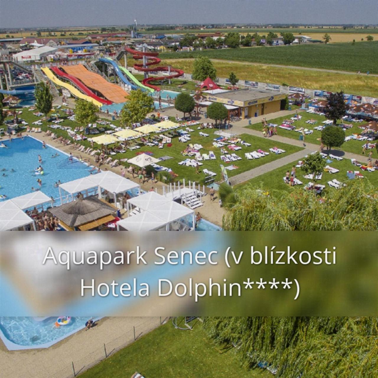 Hotel Dolphin - Adult Friendly Сенец Экстерьер фото